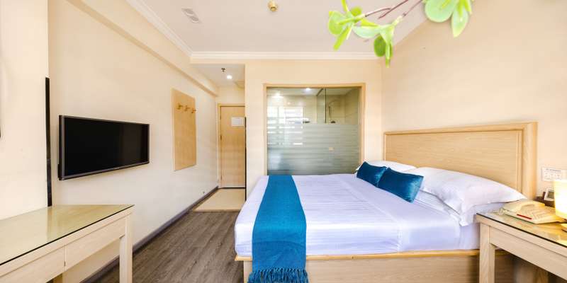 room_8799dc5a-23a3-4e0e-a667-56e6e7e00c25.jpg