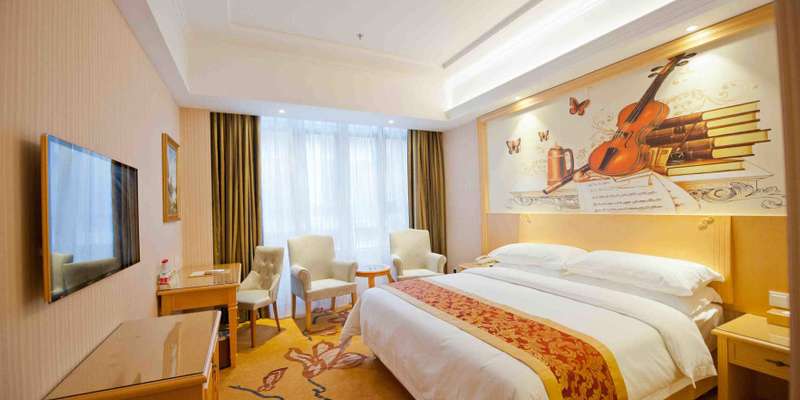 room_336c6aff-555f-4db9-887a-38935464472b.jpg