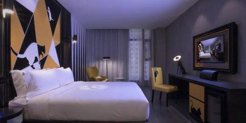room_a1beb7f9-10df-4256-8826-3ea2d28ed79d.jpg