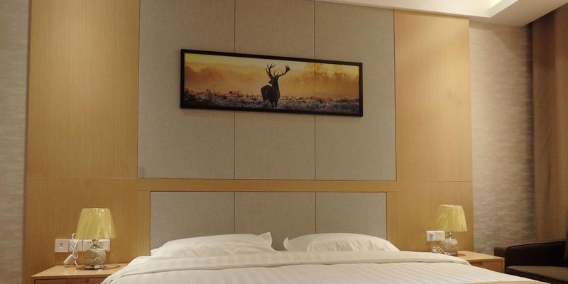 room_0ae876aa-8658-4d80-bd8f-f3e0960e9cd0.jpg