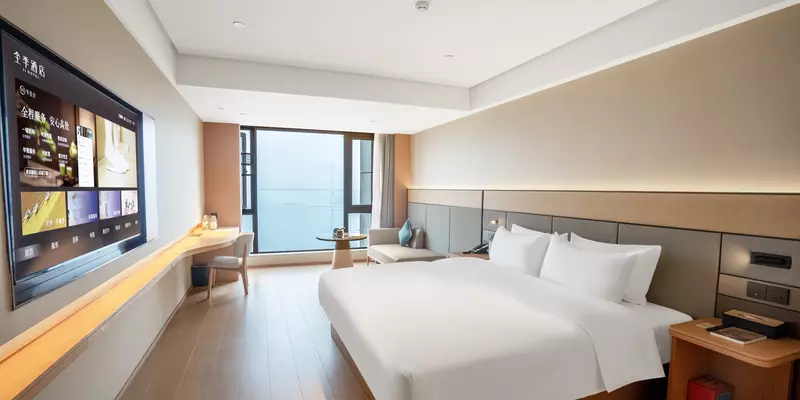 room_186f55b5-ec98-4489-bed0-5d18a52fbf2f.jpg