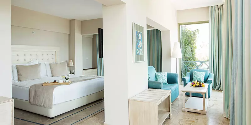 room_08577558-2ffe-41f9-a2df-d5bdcd7b5380