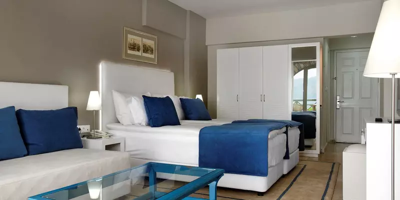 room_e71fe31c-1abf-4618-bddc-bacb9cdd0178