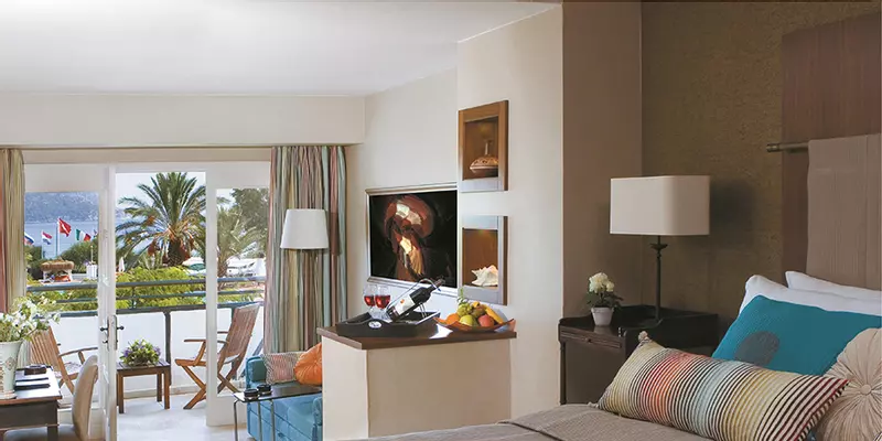 room_de997f1b-04e3-42d5-ab70-9cecc95f42fd