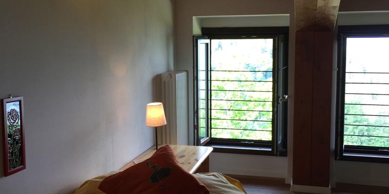 room_447fbce7-fa48-46dc-ac9a-c907c3a7d9fb.jpg