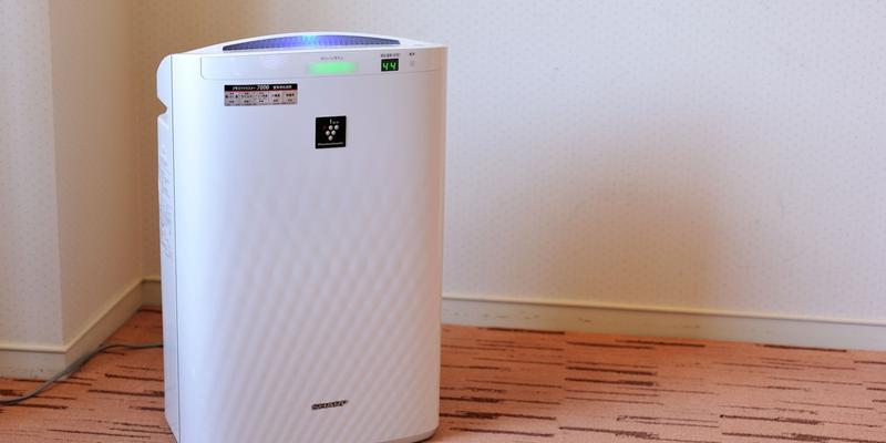 room_e729cabf-0338-4257-bd8e-1ca35ce09db3.jpg