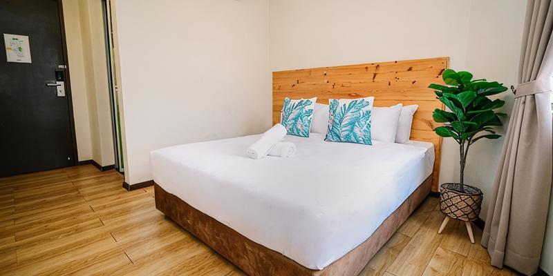 room_8576fc2e-b4c5-499e-92db-3d0ca403482e.jpg