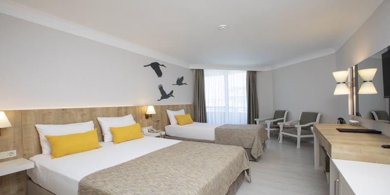 room_096d229b-959c-4cb9-8055-1cf21ee279d4