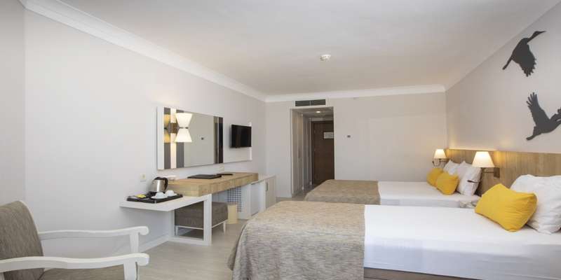 room_72ba4b15-9076-47e3-b25e-f59f331cc51c