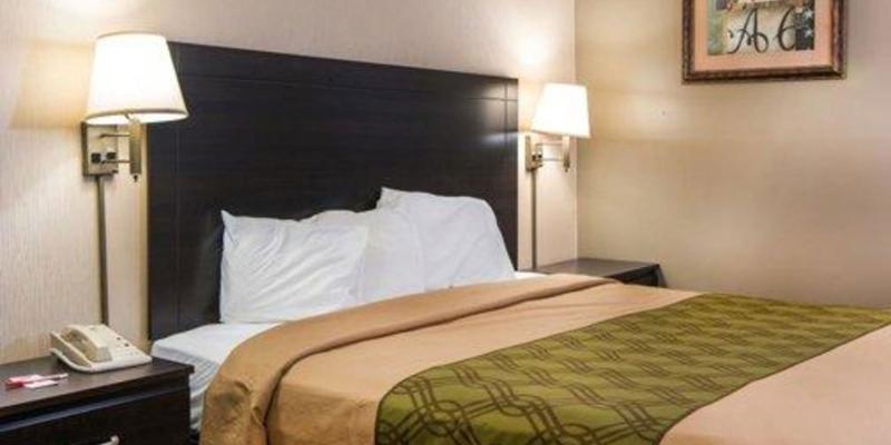 room_5e3d1f77-83bb-4bfa-8294-e169cf280cbe.jpg