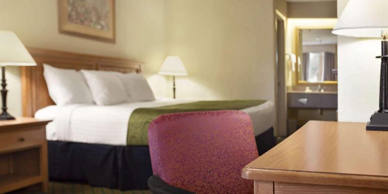 room_c08e61a1-194d-4b43-8505-e4f9d1be0da6.jpg