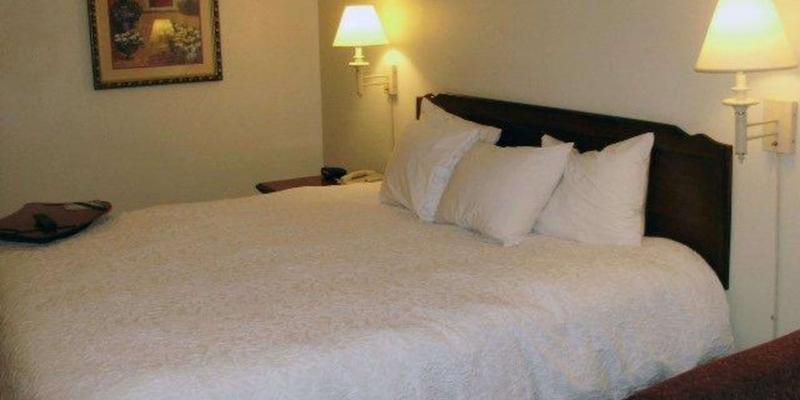 room_481a118e-8f89-489e-99a0-67fd42e0b700.jpg