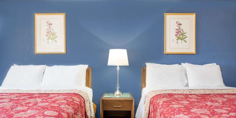 room_2d86d287-e7ea-42e2-9deb-95259ea0aa16.jpg