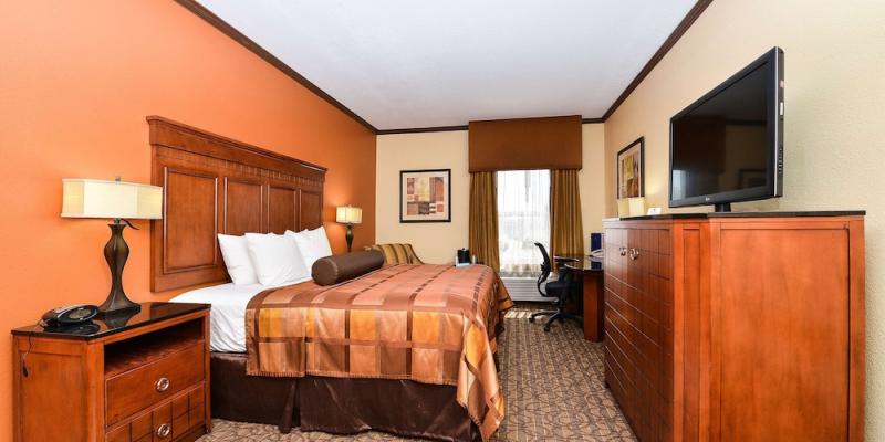 room_e89ebdb9-65fe-48a4-87a7-b6b875fbeef8.jpg