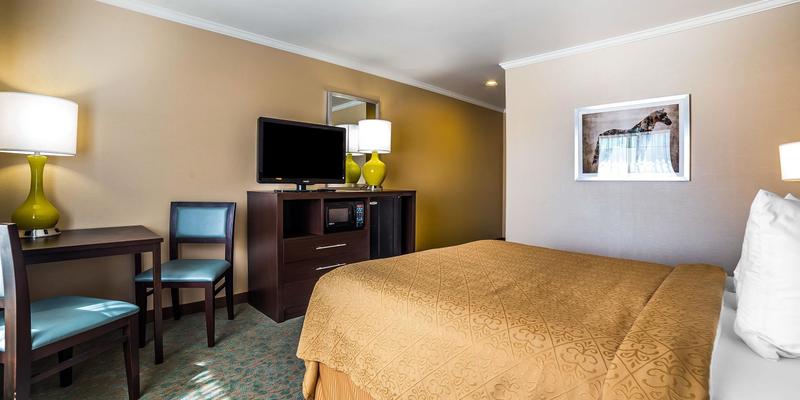 room_2e5aceb4-d057-40a1-8d77-6d287f0649e2.jpg