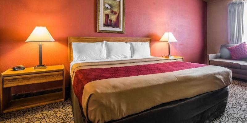 room_3a895f44-e05f-49f7-ba07-ea7e1350e81f.jpg