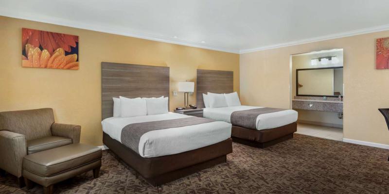 room_379990c2-4021-4f72-a3ba-e12a65a7ac5e.jpg
