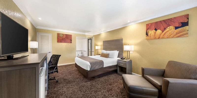 room_62c83626-8a91-4d09-a3e6-8b8acdd26d27.jpg