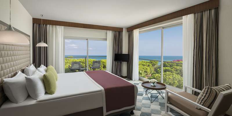 room_e7d132ad-00a1-446d-aa83-cf6eca1cd6a3