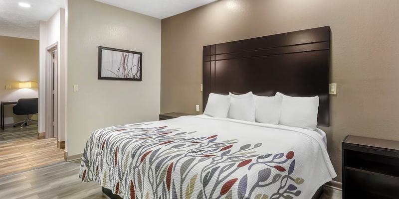 room_74ff40ba-045d-410b-bbcc-72e378ae6983.jpg