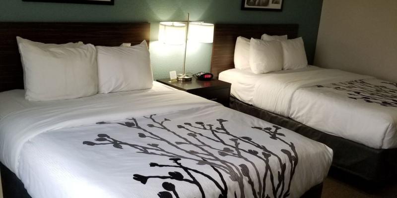 room_823960cb-2c8f-4801-b3f9-e5d6d364d6d5.jpg