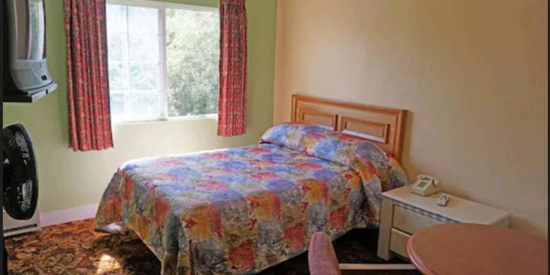 room_157068f5-06ff-4b68-bbd4-c435eac5a7ef.jpg