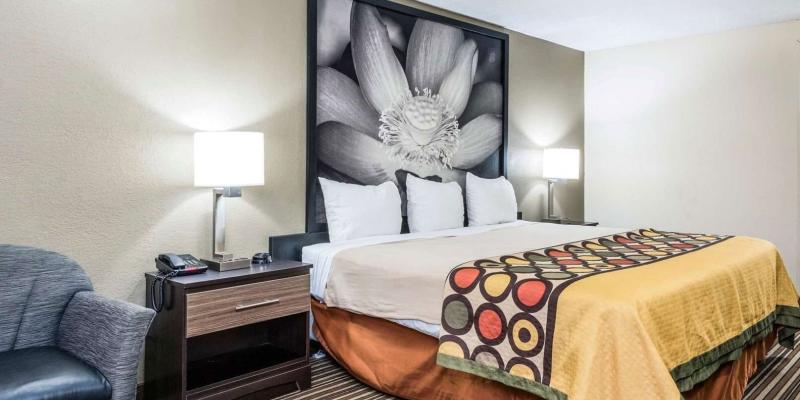 room_d04cc9cd-d88a-49ad-83af-e888897df37d.jpg