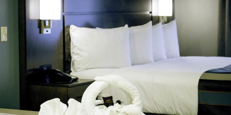 room_bec1a4e9-6549-4d81-a4c5-8a4acb11a8f5.jpg