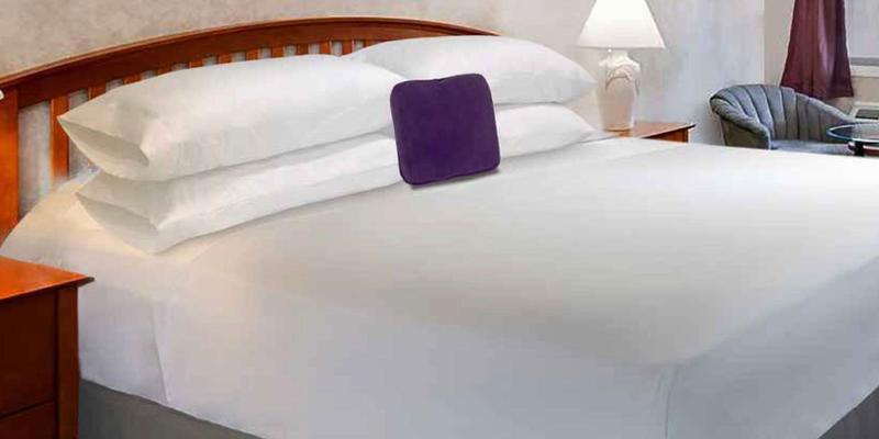 room_b26da45a-ca4f-470b-8ceb-d9001e5d240b.jpg