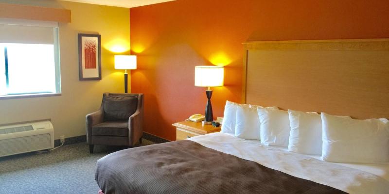 room_7bbd3f37-ae9a-4ca1-bb1c-39d88a630eeb.jpg
