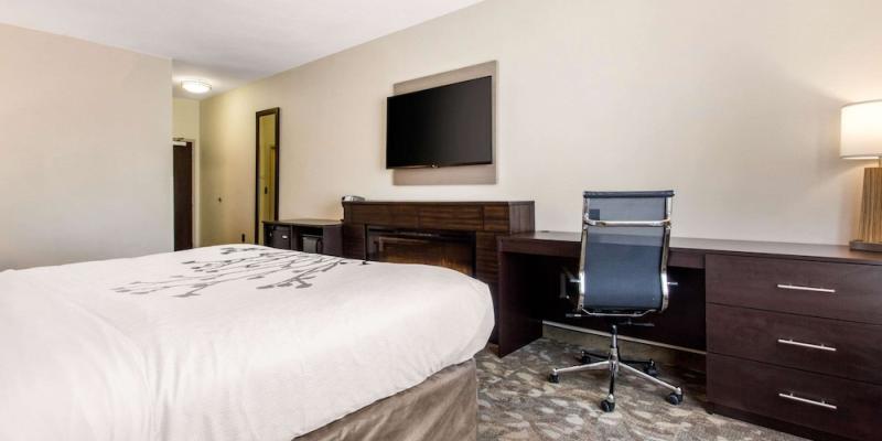 room_298b2bbd-9aa6-492b-b6fd-e6fa54ea200c.jpg
