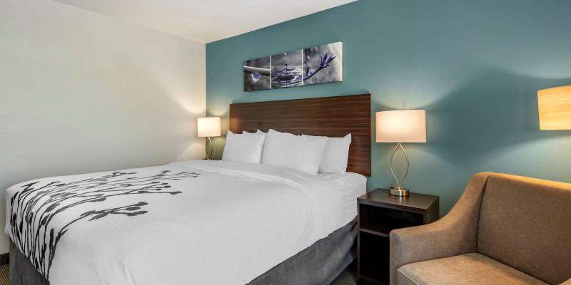 room_d64192b9-e91b-414c-b9e4-74fb84f10d95.jpg