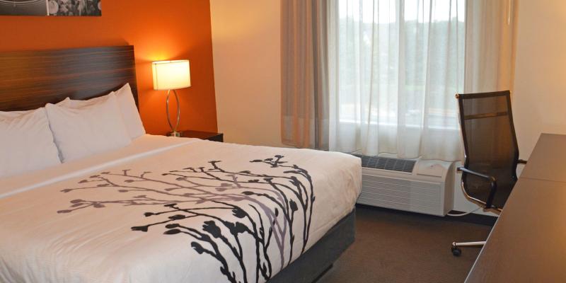 room_7d0bdcb4-bd2e-4246-a022-bfca899be4ac.jpg