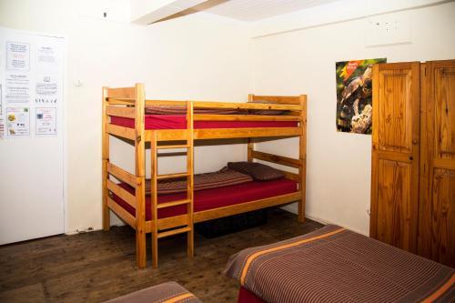 room_8846770c-2cc1-4e7e-b20f-22e8181e2025.jpg