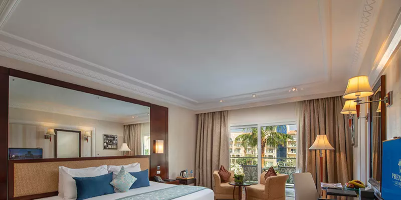 room_99bdcf69-e1dd-4086-90c9-e26e3401d756