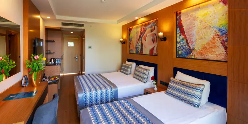 room_e1e9f508-3172-446e-ad6e-e267ffde7ded