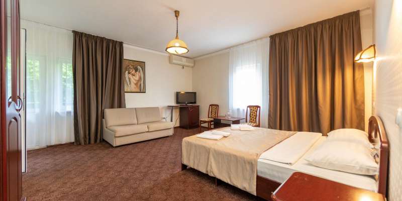 room_1ddab58c-df56-431a-a25f-a6902709a3c4