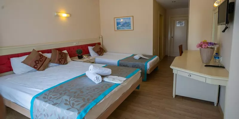 room_b02a3909-65dc-4ab7-8121-e0b1ea64f1b2
