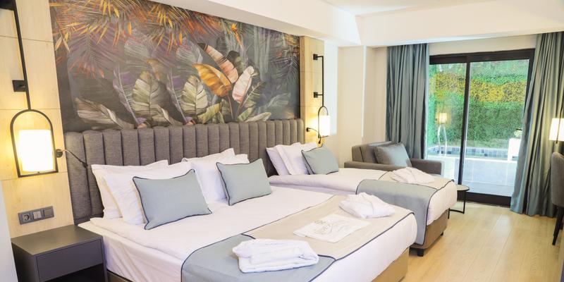 room_e97bdb98-77bf-42a8-9edc-3cbe9aecaf44