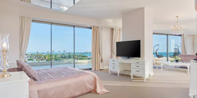 room_77d9d242-9348-46f0-b054-323270e9cb54
