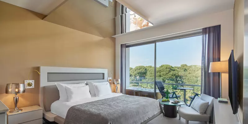 room_a3915e4d-938b-4459-a21e-7a9246e01231