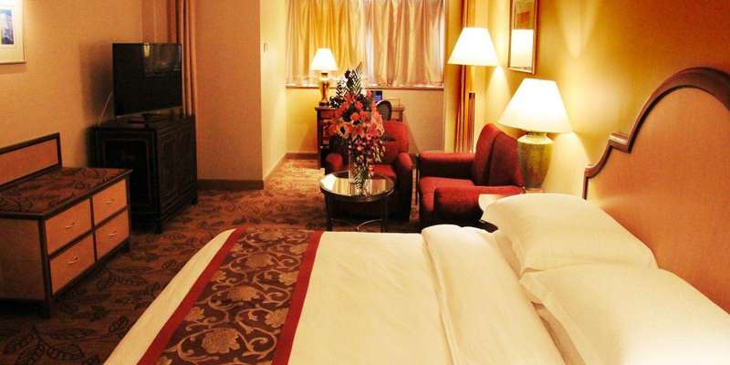 room_d6dab5fd-32b9-4dc8-9268-fc2f4d9d3945