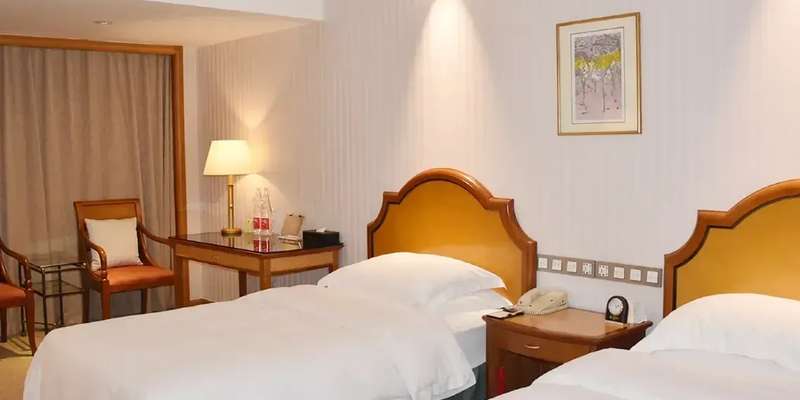 room_df30fedb-5e72-44e0-a737-5117f25443b9