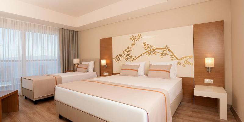 room_b967d6d8-35e8-4ff1-b47a-a2ed970dc287