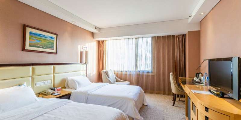 room_80ac43a2-7e71-402d-94d8-a6375fd2ab22