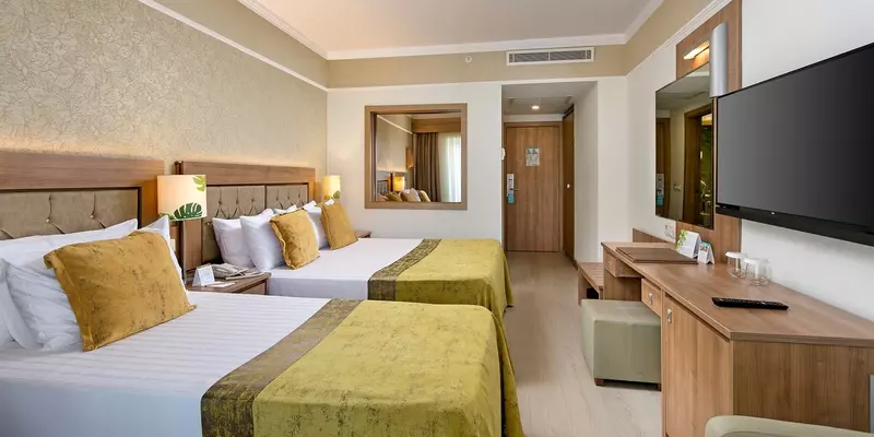 room_1cee1c26-2bb9-4eef-b5db-b3612c1dd824