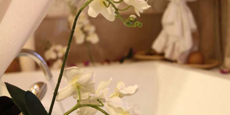 room_ee3b5dee-c96a-4495-a58d-06c388a21c58.jpg
