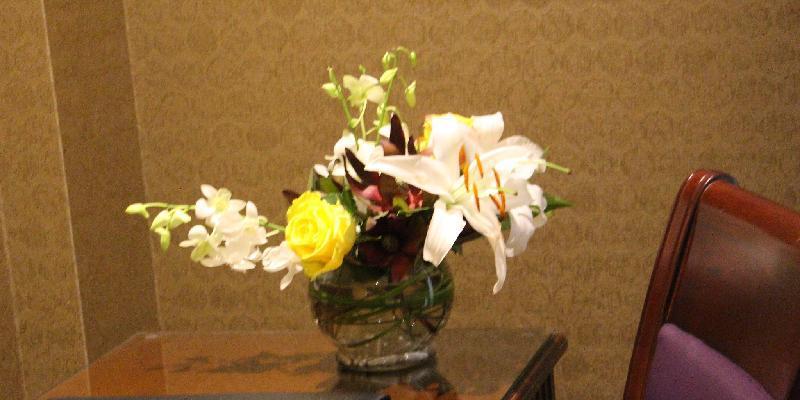 room_4bb79c9f-8408-446b-8c77-0838d5c14337.jpg