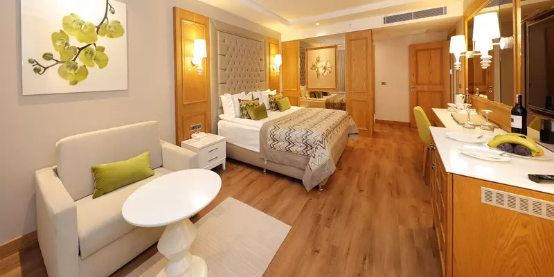 room_36982c6e-59fb-4b0b-8148-d627a613142c
