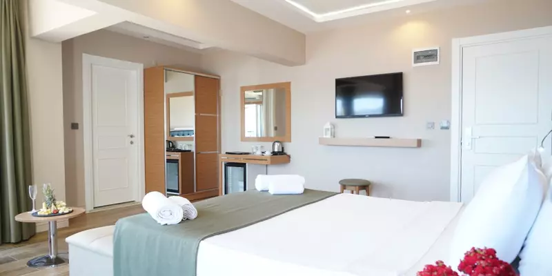 room_2f6e6d27-3b43-477d-9cd8-11724c85116a
